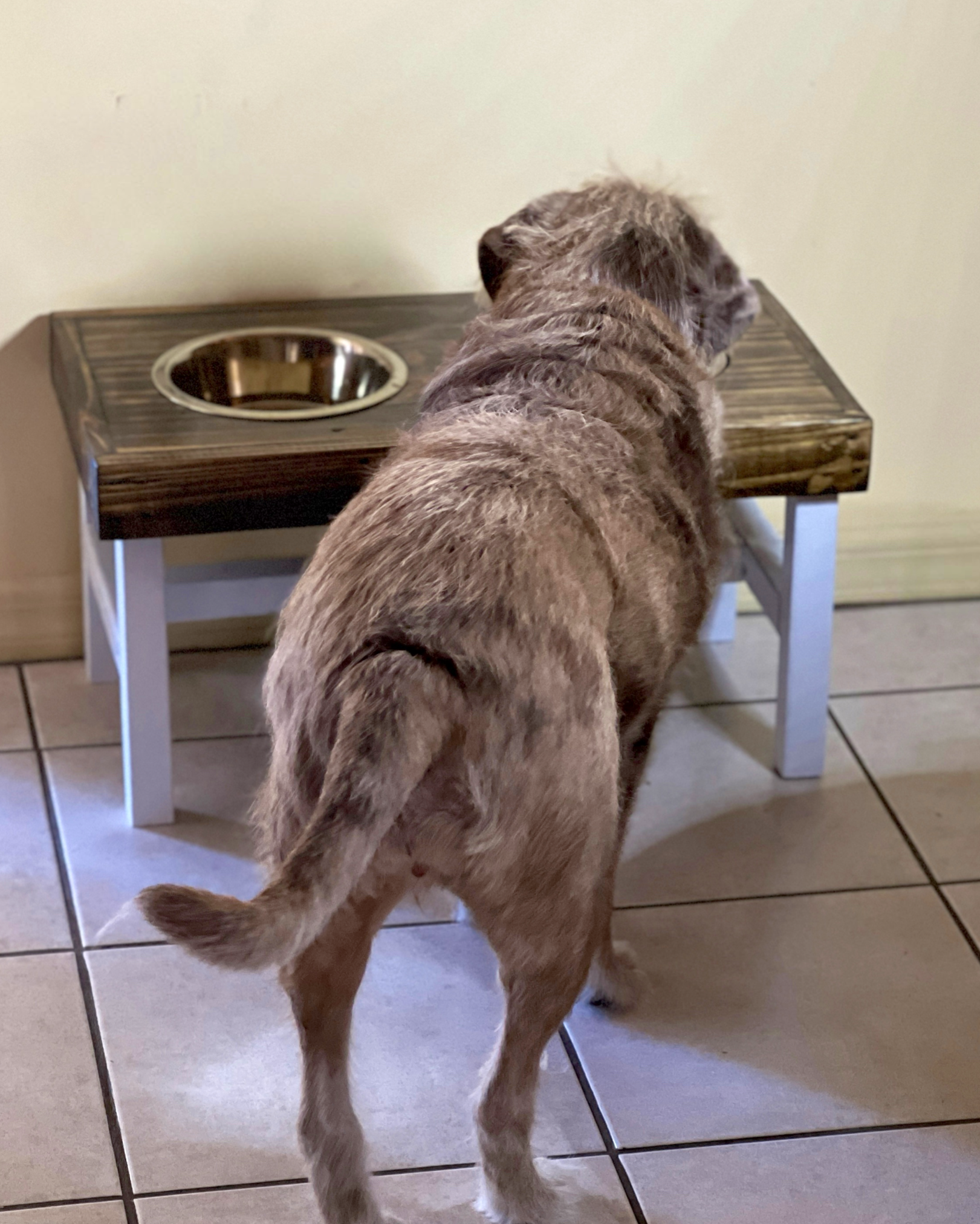 Dog standing on a wooden elevated pet feeder with a bowl. Wooden pet feeding station with two bowls on a wooden floor. Raised dog bowl stand, dog bowl holder, large dog bowl stand, small dog bowl stand, wooden dog bowl stand raised, elevated pet bowl stand, elevated dog bowl stand, dog bowl stand wood,